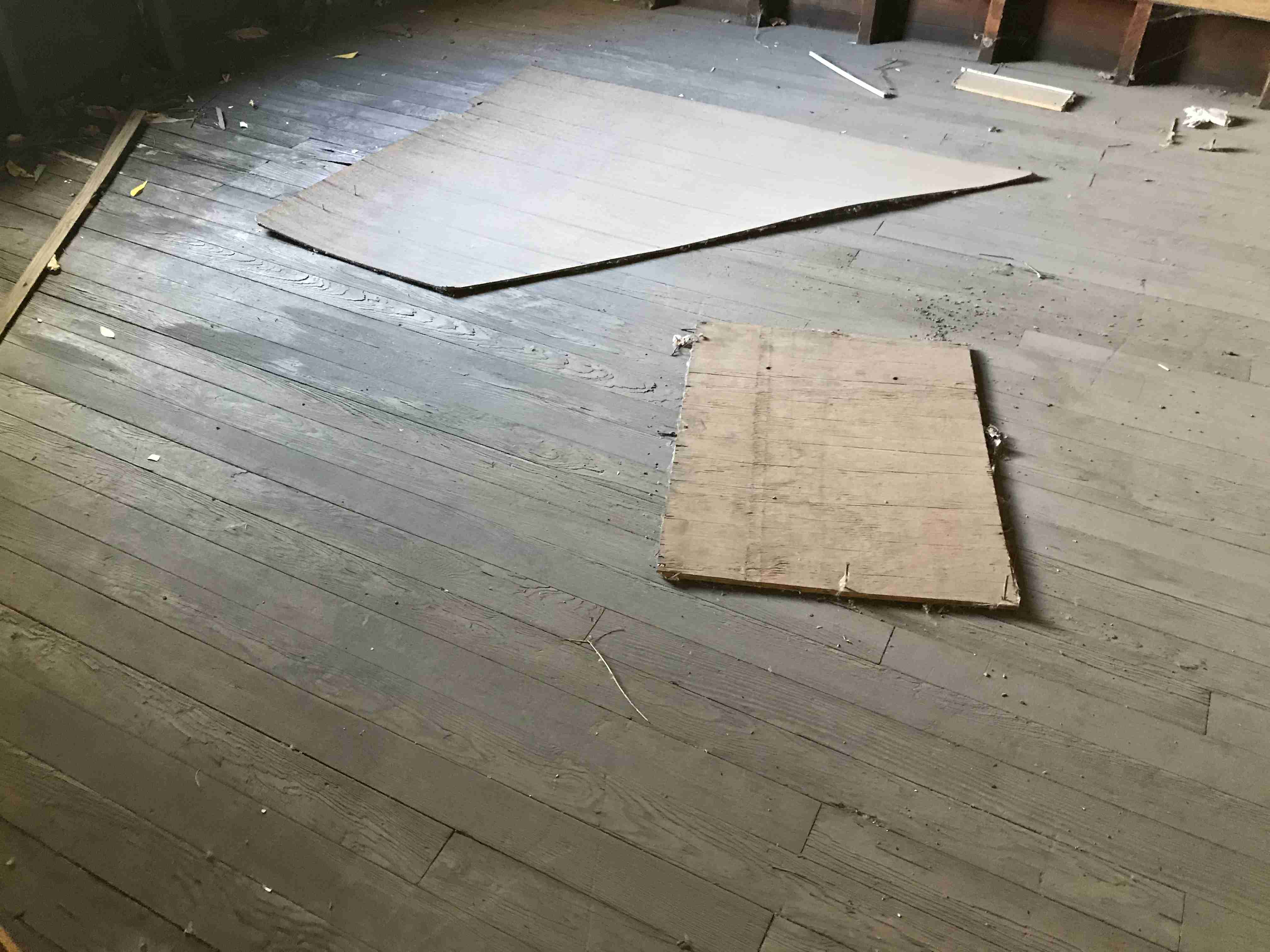 Photo Oct 13, 3 49 41 PM.jpg